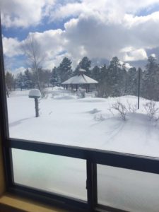 The view from our window on January 20th. One snow storm down, three more to go. 