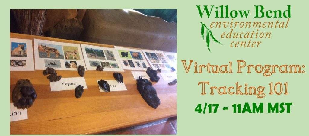 04.13.2020 – This Week's Virtual Learning with Willow Bend 